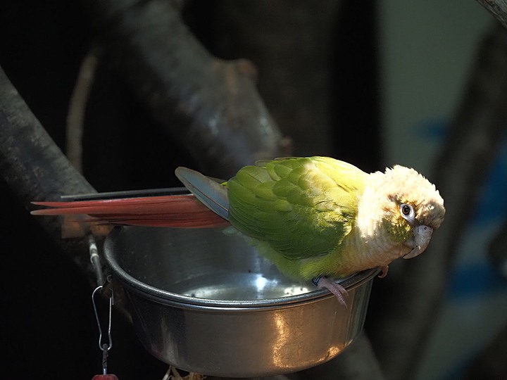 台灣昆蟲館 — 親身體驗奇妙的「蟲蟲世界」,新竹公園內特色景點之二