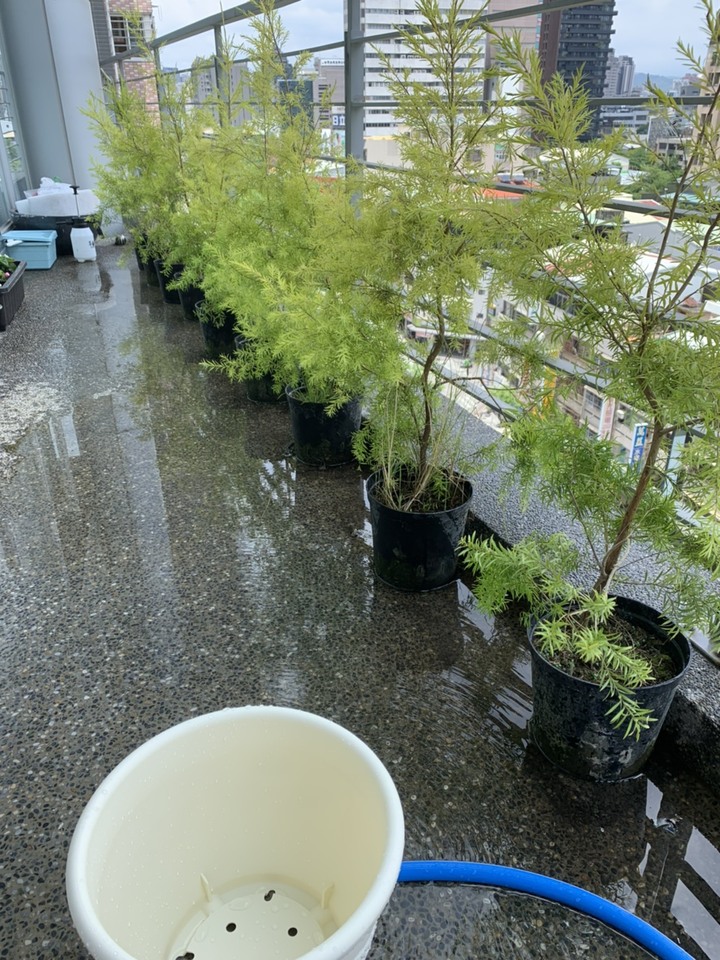 [開箱] 不停變動的陽台
