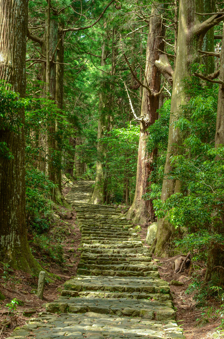 紀伊半島自駕遊-世界遺產巡禮2/4(本州最南端、潮岬、熊野古道、那智瀑布、日本第一大鳥居、伊勢神宮、夫妻岩)