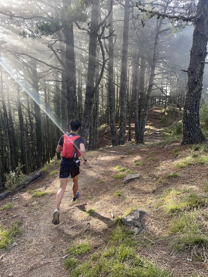 點我看大圖 被悶壞的半日包場南湖大山第一人稱POV SKYRunning