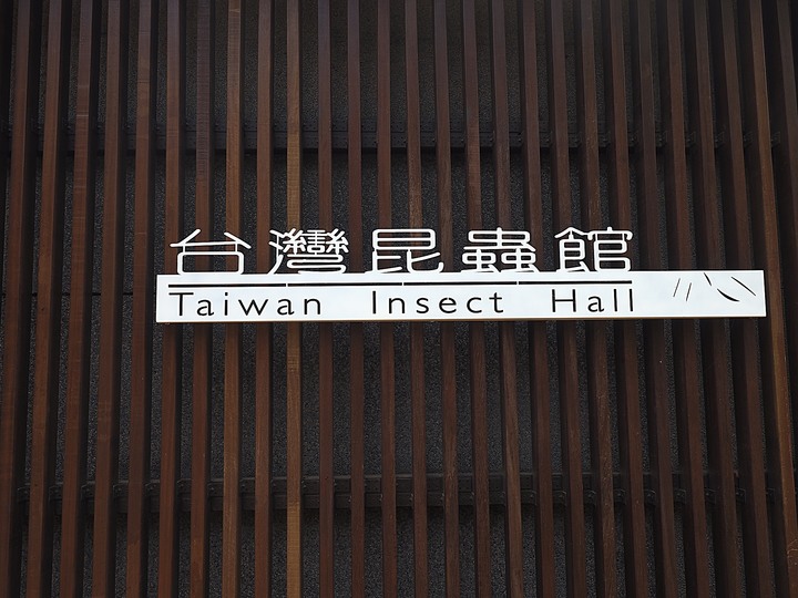 台灣昆蟲館 — 親身體驗奇妙的「蟲蟲世界」,新竹公園內特色景點之二