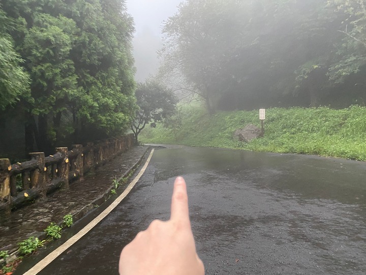 桃園復興｜東眼山自導式步道．自然生態豐富，享受柳杉林的沐浴