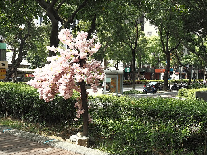 臺北城南之【文學踏青趣─城南街區走讀】活動 — 在老市區中找尋舊故事