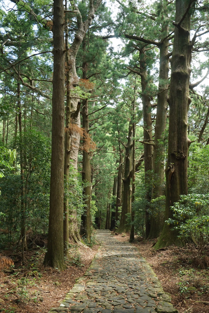 紀伊半島自駕遊-世界遺產巡禮2/4(本州最南端、潮岬、熊野古道、那智瀑布、日本第一大鳥居、伊勢神宮、夫妻岩)