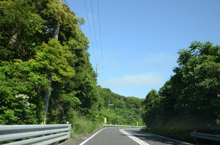 2019紀伊半島自駕遊-世界遺產巡禮1/4(本州最南端、潮岬、熊野古道、那智瀑布、日本第一大鳥居、伊勢神宮、夫妻岩)