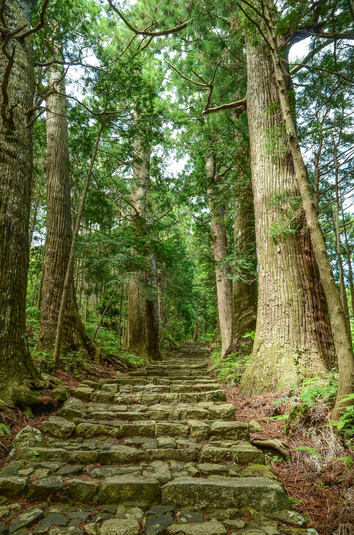 紀伊半島自駕遊-世界遺產巡禮2/4(本州最南端、潮岬、熊野古道、那智瀑布、日本第一大鳥居、伊勢神宮、夫妻岩)