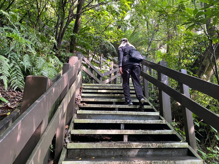 台北信義|四獸山.虎山、豹山、獅山、象山,兩小時輕鬆抓獸去