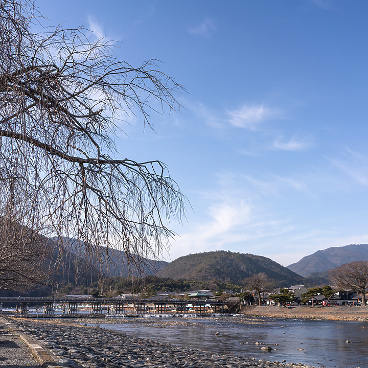 【A7RIV】2021京都的生活 春