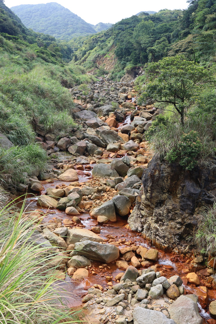 【魚路古道】 白化獼猴現身！昔日繁華先民古道遺跡