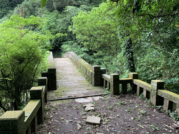 【魚路古道】 白化獼猴現身！昔日繁華先民古道遺跡