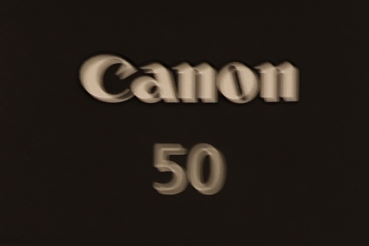 Canon RF 100mm f/2.8L Macro IS USM 評測報告｜散景風格任你變 微距能力傲視同級！