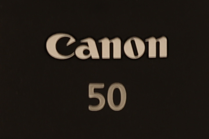 Canon RF 100mm f/2.8L Macro IS USM 評測報告｜散景風格任你變 微距能力傲視同級！