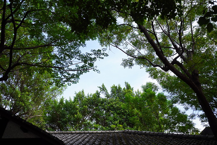 Tamron 11-20mm f/2.8 DiIII-A RXD(B060)評測報告|光學性能優異的 APS-C 超廣角首選!
