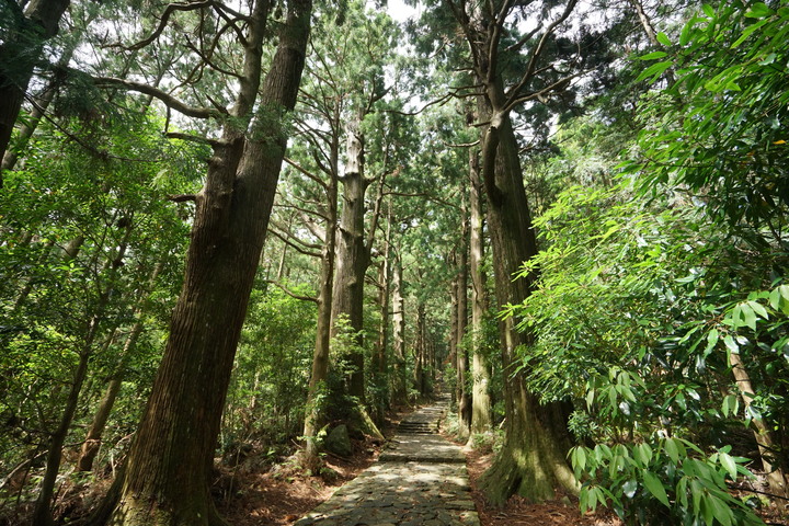 紀伊半島自駕遊-世界遺產巡禮2/4(本州最南端、潮岬、熊野古道、那智瀑布、日本第一大鳥居、伊勢神宮、夫妻岩)