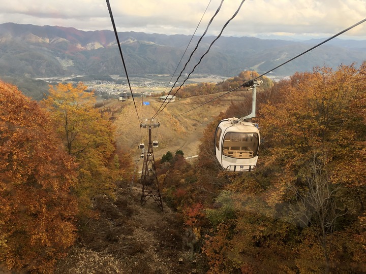 日本白馬 PMBIA 登山車教練證照考試與賞楓自由行