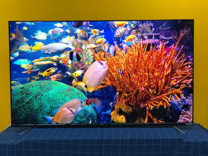 聲寶 新轟天雷直下式QLED電視QM-65RB120 開箱心得