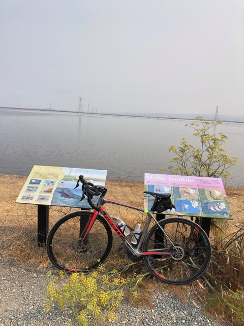 (2021夏) 🚴🇺🇸 Giant TCR 漫遊矽谷 (1/2)