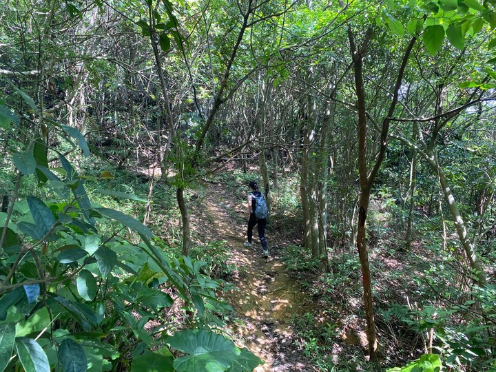 台北信義|四獸山.虎山、豹山、獅山、象山,兩小時輕鬆抓獸去
