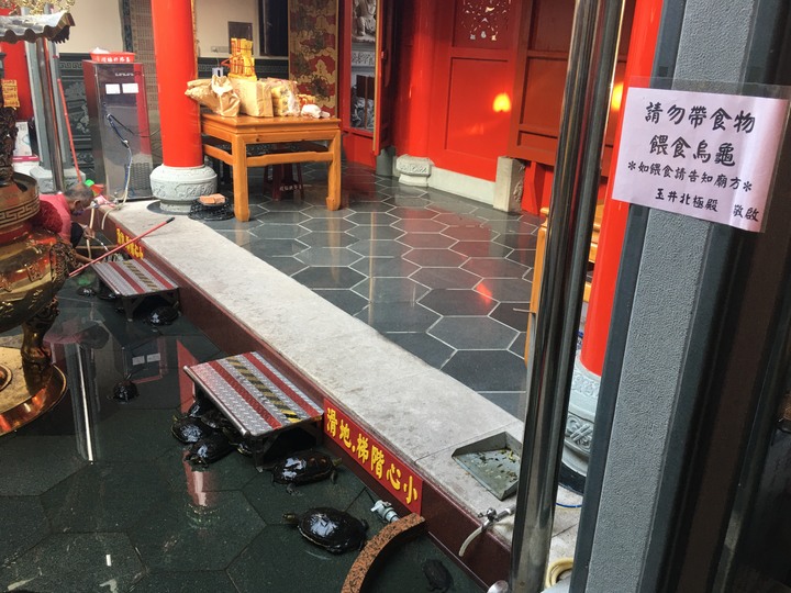 神諭義戰最終回,騎遊玉井(噍吧哖)