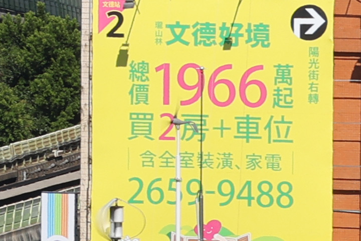 Canon RF 100mm f/2.8L Macro IS USM 評測報告｜散景風格任你變 微距能力傲視同級！