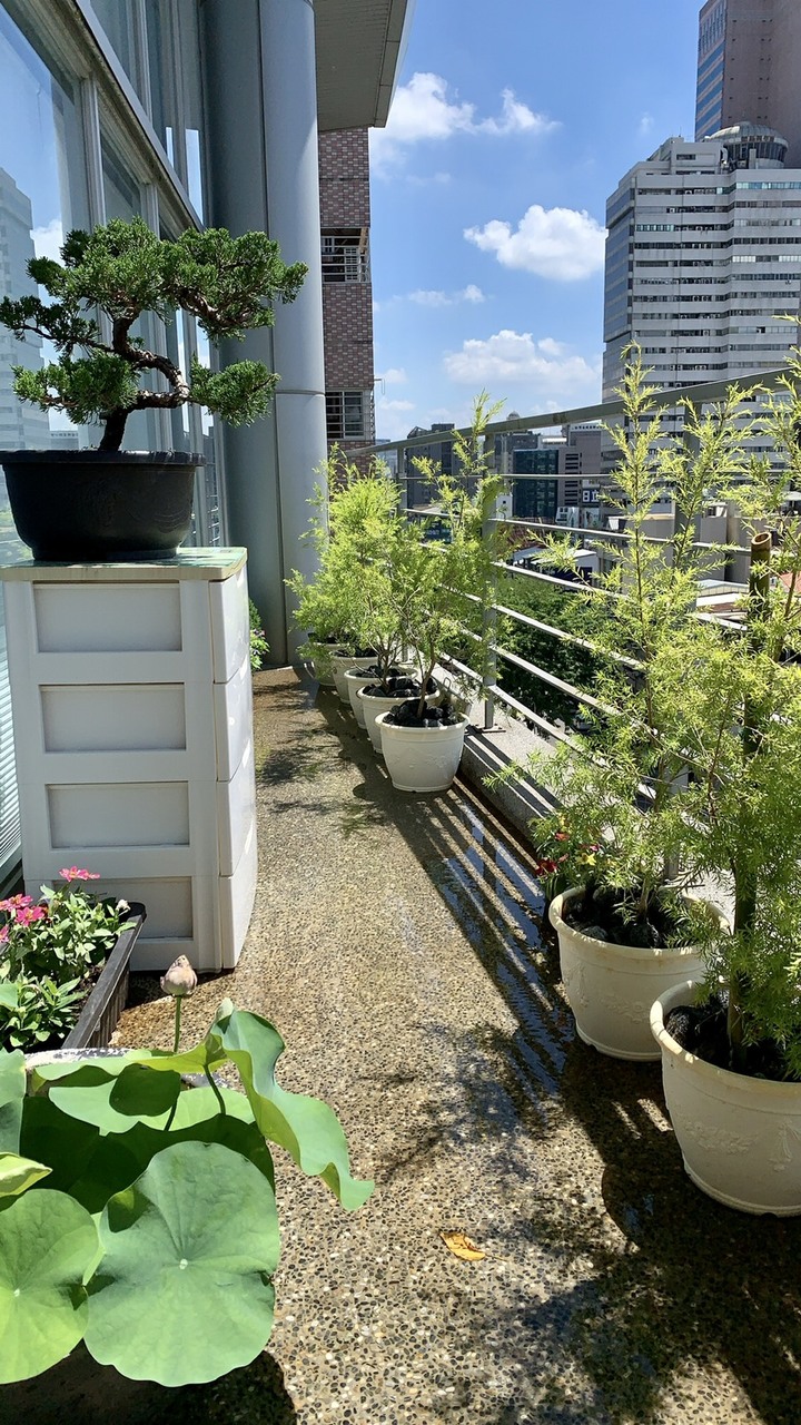 [開箱] 不停變動的陽台