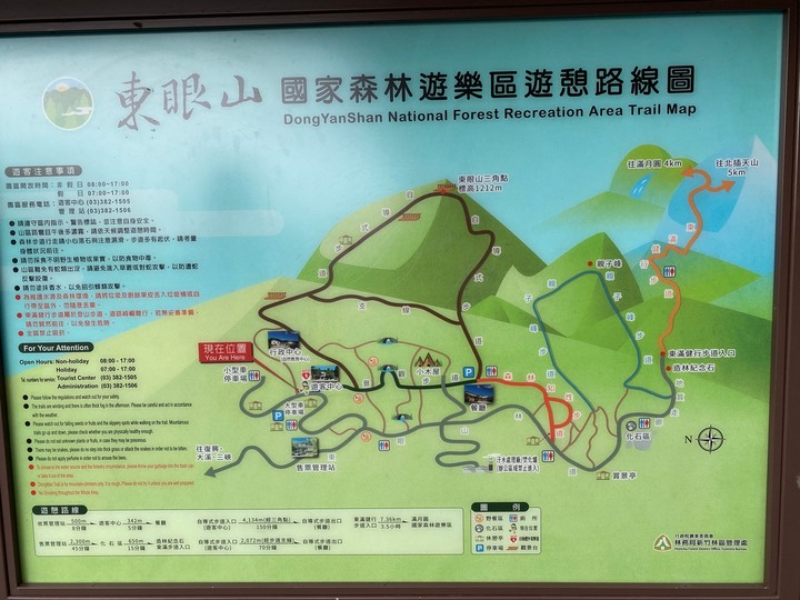 桃園復興｜東眼山自導式步道．自然生態豐富，享受柳杉林的沐浴
