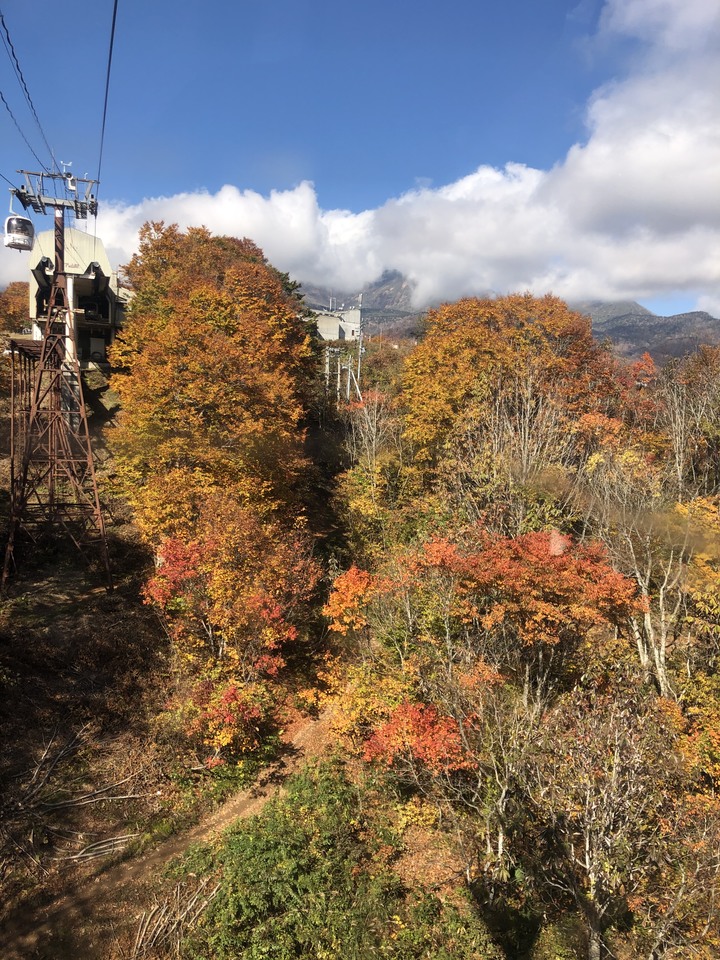 日本白馬 PMBIA 登山車教練證照考試與賞楓自由行