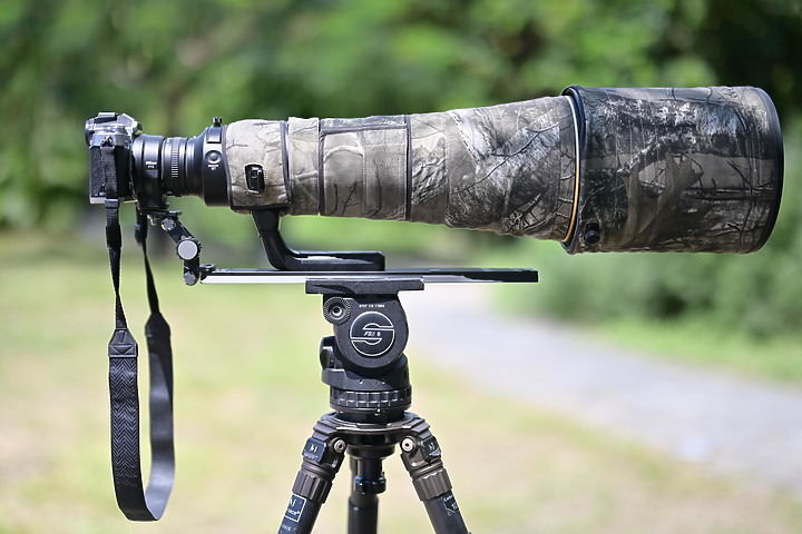 點我看大圖 Nikon Z fc+600mm+1.4X長喙天蛾,非常親近人的白頭翁亂入。