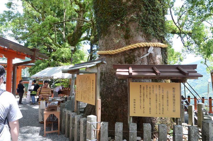 紀伊半島自駕遊-世界遺產巡禮2/4(本州最南端、潮岬、熊野古道、那智瀑布、日本第一大鳥居、伊勢神宮、夫妻岩)