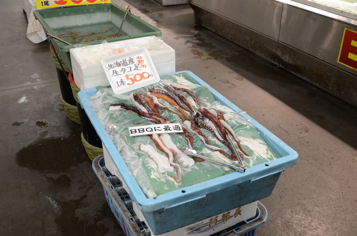 2019紀伊半島自駕遊-世界遺產巡禮1/4(本州最南端、潮岬、熊野古道、那智瀑布、日本第一大鳥居、伊勢神宮、夫妻岩)