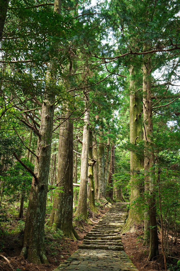 紀伊半島自駕遊-世界遺產巡禮2/4(本州最南端、潮岬、熊野古道、那智瀑布、日本第一大鳥居、伊勢神宮、夫妻岩)