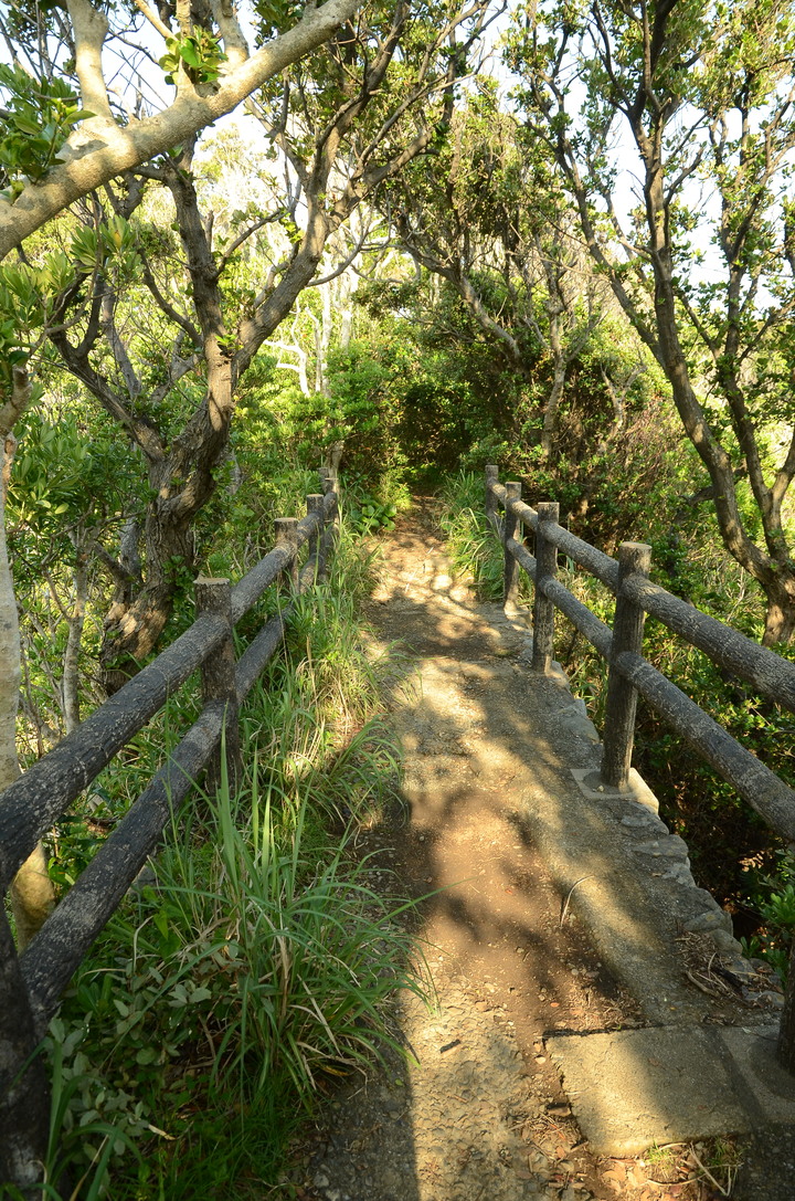 2019紀伊半島自駕遊-世界遺產巡禮1/4(本州最南端、潮岬、熊野古道、那智瀑布、日本第一大鳥居、伊勢神宮、夫妻岩)