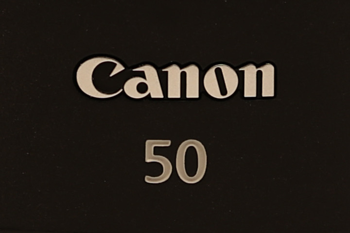 Canon RF 100mm f/2.8L Macro IS USM 評測報告｜散景風格任你變 微距能力傲視同級！