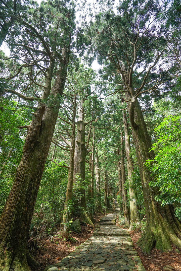 紀伊半島自駕遊-世界遺產巡禮2/4(本州最南端、潮岬、熊野古道、那智瀑布、日本第一大鳥居、伊勢神宮、夫妻岩)