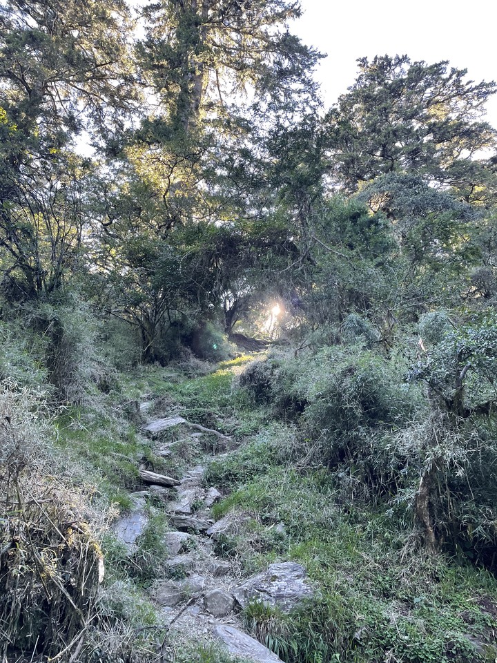點我看大圖 被悶壞的半日包場南湖大山第一人稱POV SKYRunning