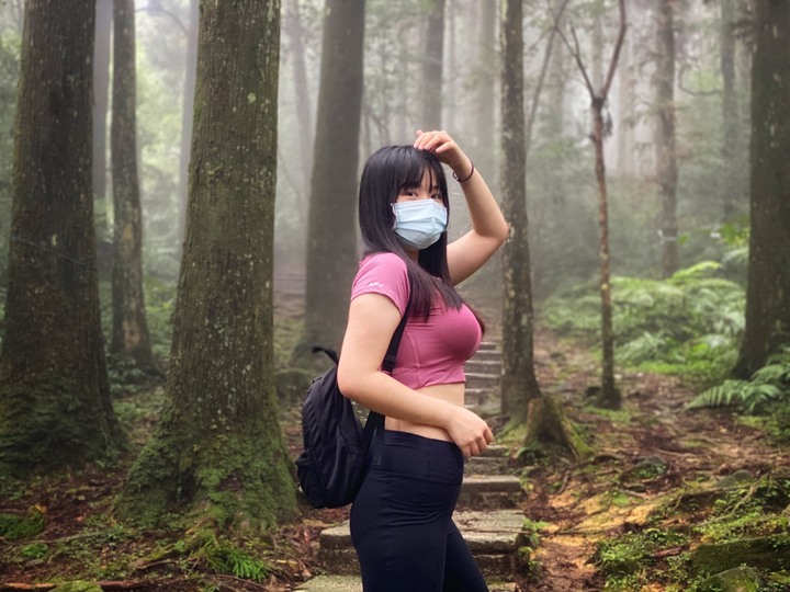 桃園復興｜東眼山自導式步道．自然生態豐富，享受柳杉林的沐浴