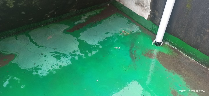 得利倍剋漏頂樓防水施作分享