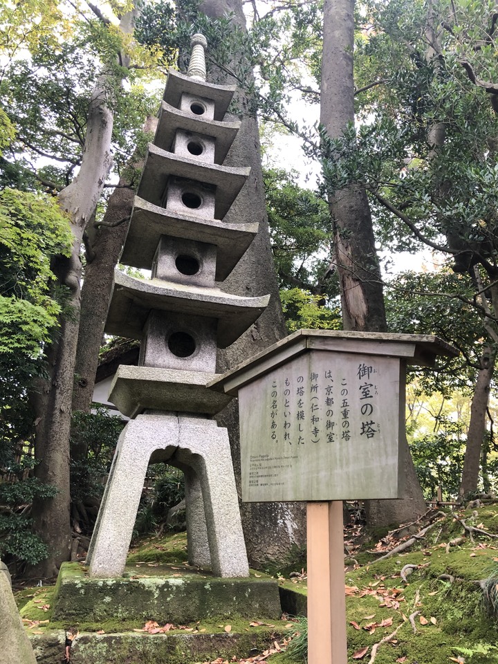 日本白馬 PMBIA 登山車教練證照考試與賞楓自由行