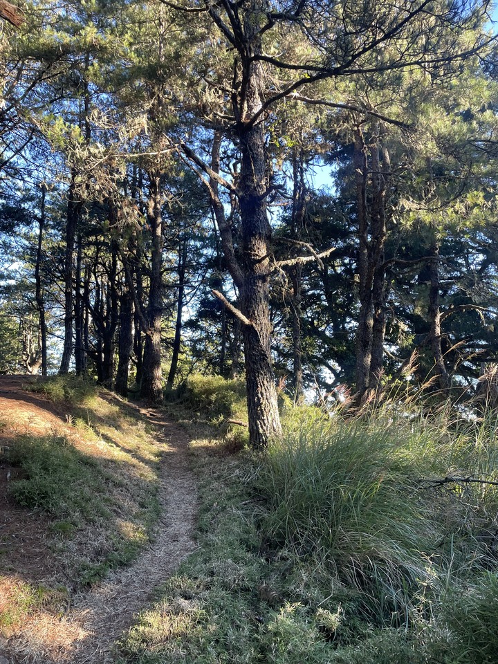 點我看大圖 被悶壞的半日包場南湖大山第一人稱POV SKYRunning