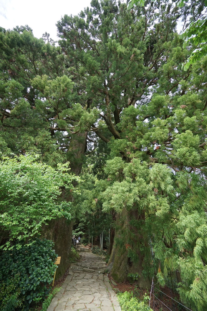 紀伊半島自駕遊-世界遺產巡禮2/4(本州最南端、潮岬、熊野古道、那智瀑布、日本第一大鳥居、伊勢神宮、夫妻岩)