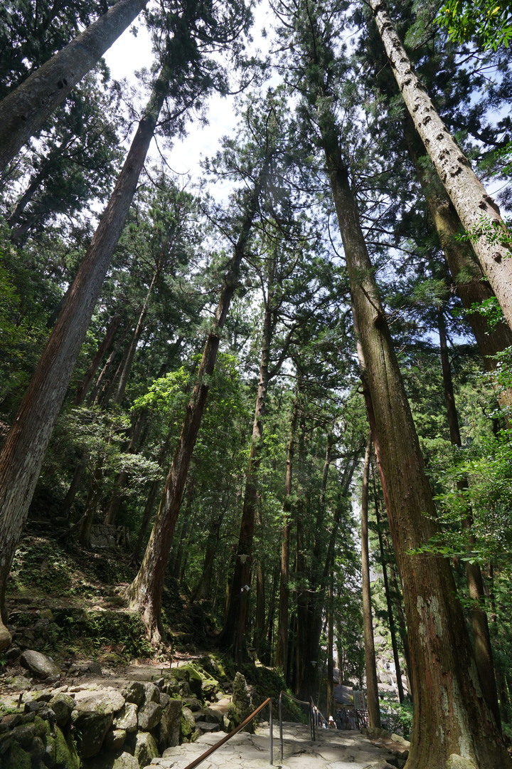 紀伊半島自駕遊-世界遺產巡禮2/4(本州最南端、潮岬、熊野古道、那智瀑布、日本第一大鳥居、伊勢神宮、夫妻岩)