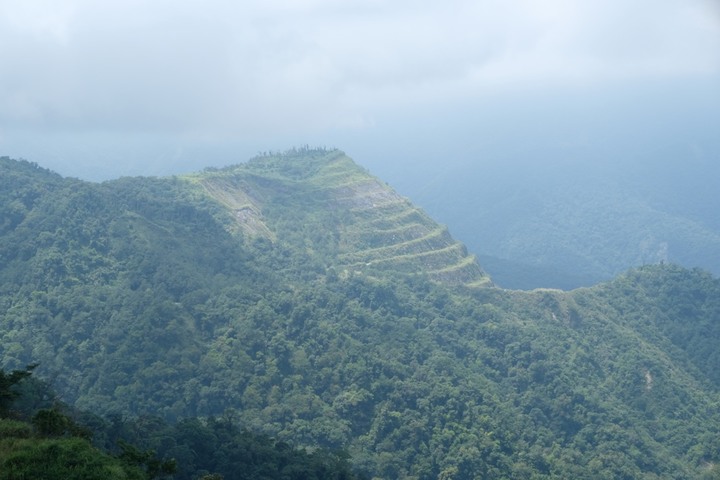 Forester解封後小出遊:安平坑林道初探