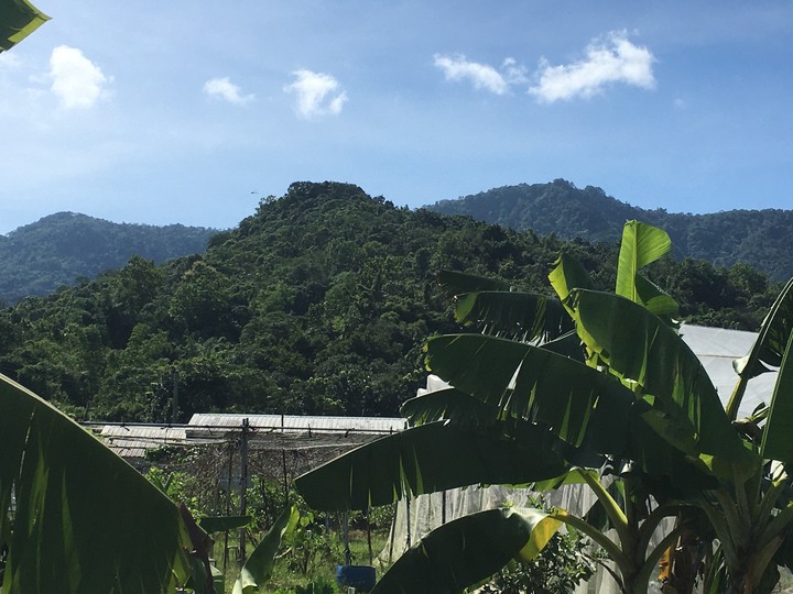 神諭義戰最終回,騎遊玉井(噍吧哖)