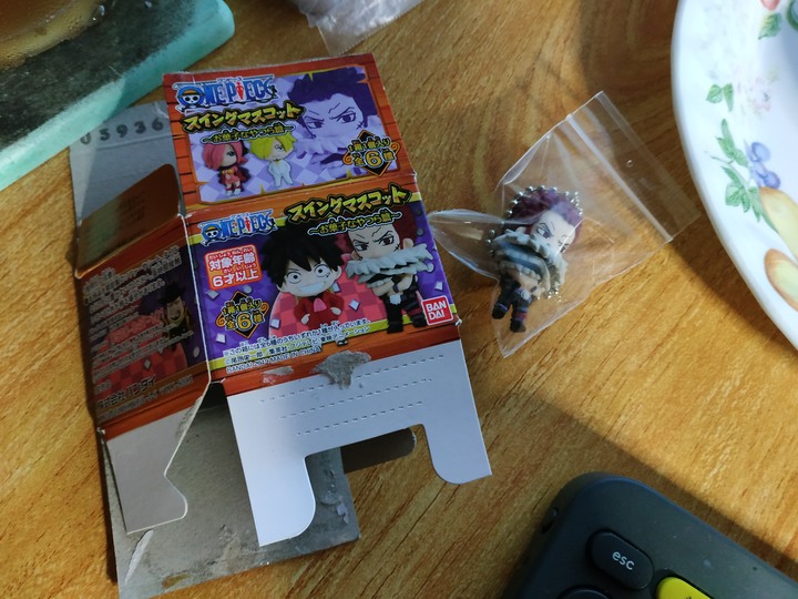從學生收到成人, 萬代海賊王扭蛋吊飾系列 (加台北代購幫使用心得).