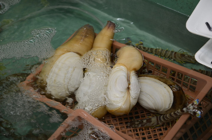 2019紀伊半島自駕遊-世界遺產巡禮1/4(本州最南端、潮岬、熊野古道、那智瀑布、日本第一大鳥居、伊勢神宮、夫妻岩)