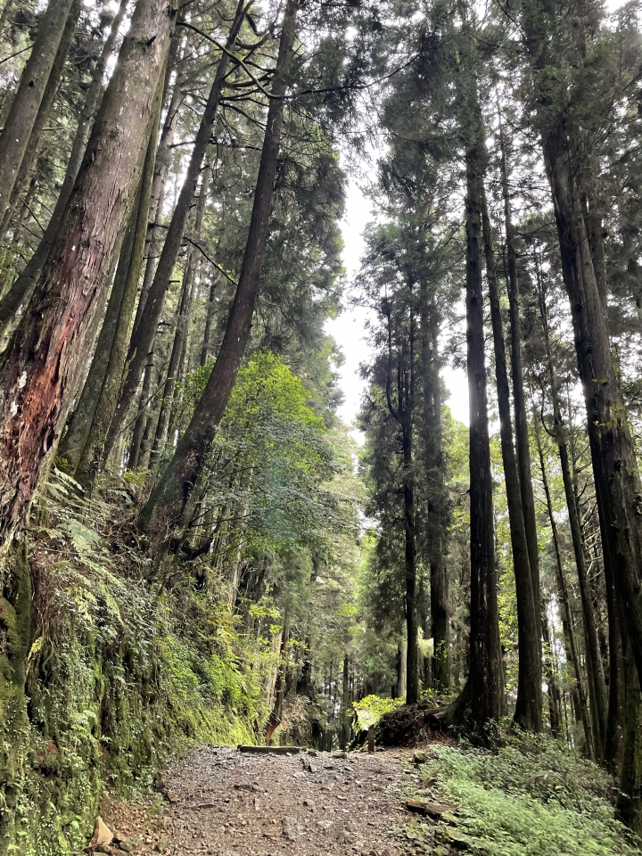 難度0.5顆星-特富野古道