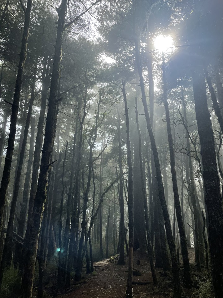 點我看大圖 被悶壞的半日包場南湖大山第一人稱POV SKYRunning