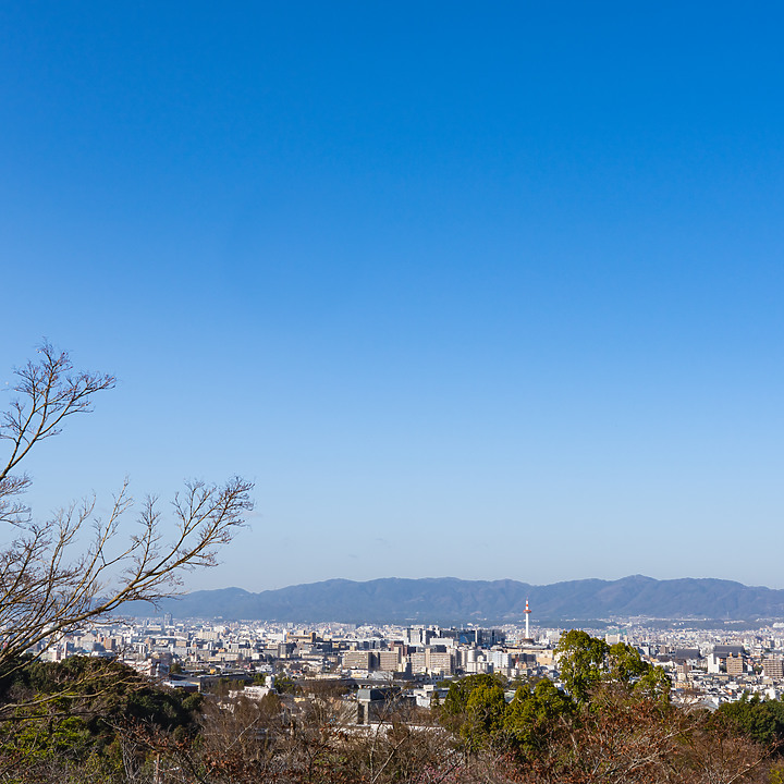 【A7RIV】2021京都的生活 春