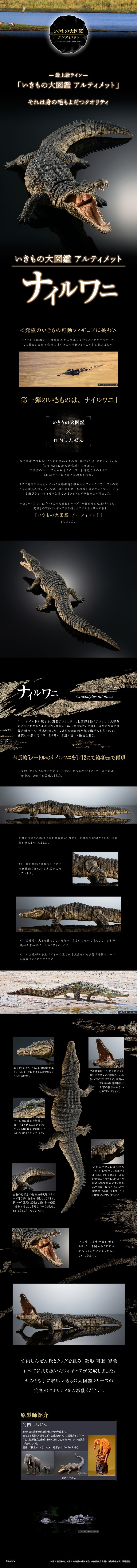 生物圖鑑ULTIMATE 第一彈 尼羅鱷