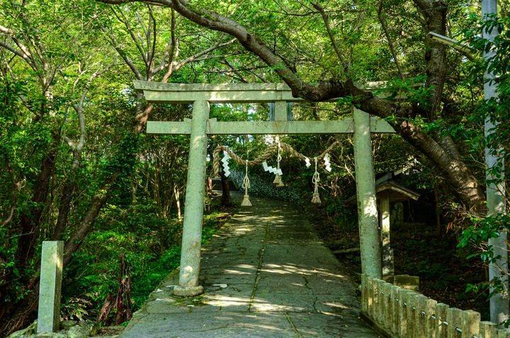 2019紀伊半島自駕遊-世界遺產巡禮1/4(本州最南端、潮岬、熊野古道、那智瀑布、日本第一大鳥居、伊勢神宮、夫妻岩)
